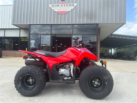 2024 Honda TRX90X in Greenville, North Carolina