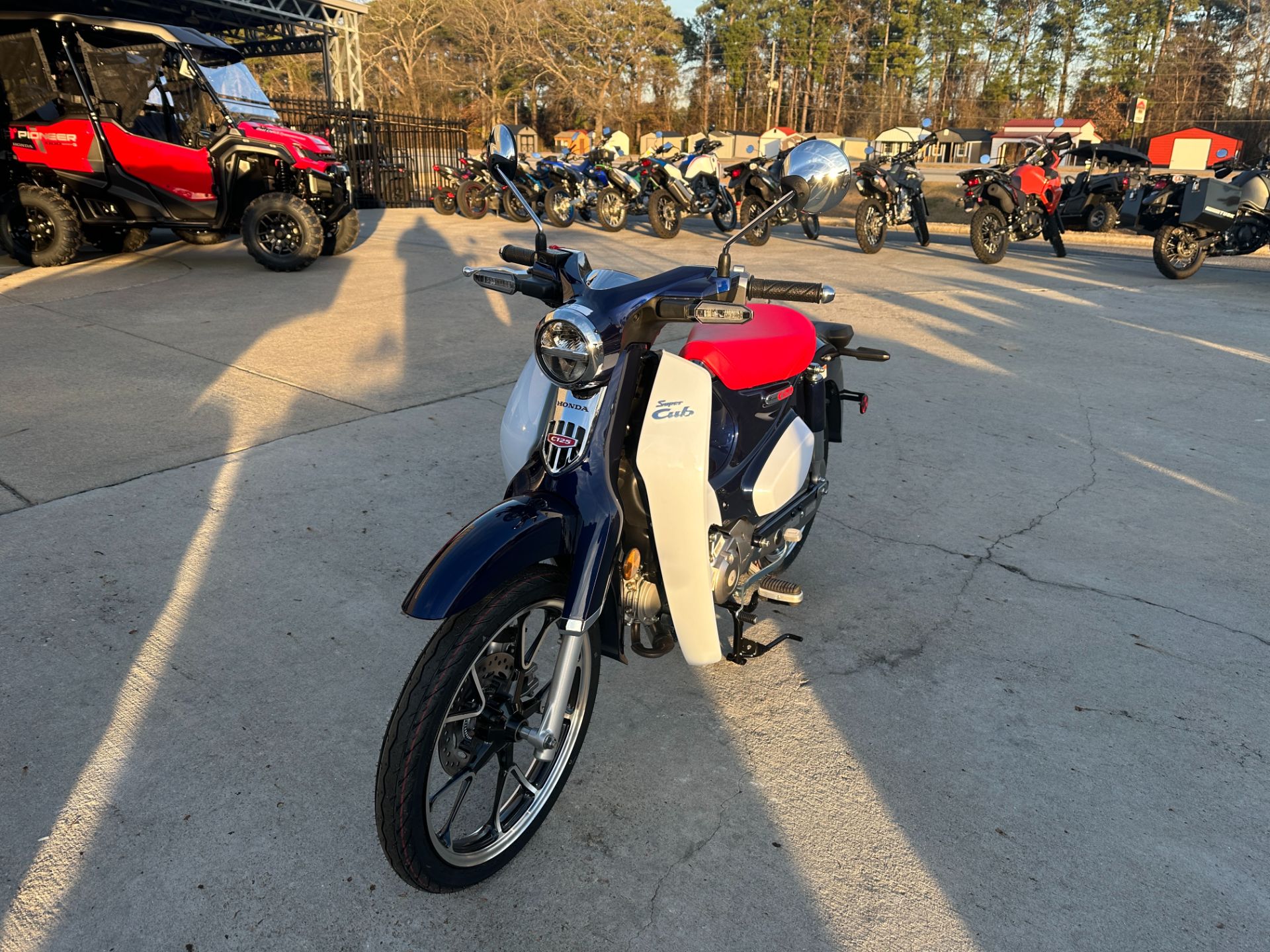 2024 Honda Super Cub C125 ABS in Greenville, North Carolina - Photo 16
