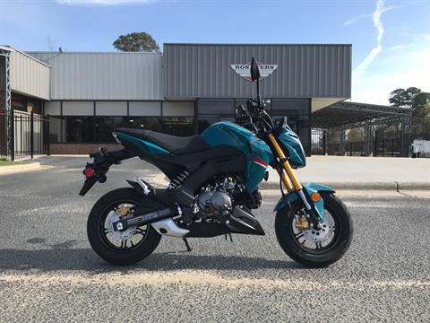 2021 Kawasaki Z125 Pro in Greenville, North Carolina - Photo 1
