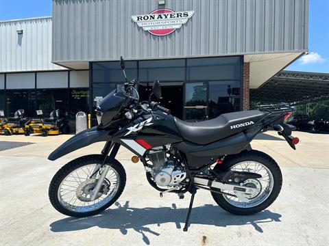 2024 Honda XR150L in Greenville, North Carolina - Photo 16