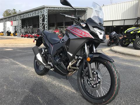 2021 Kawasaki Versys-X 300 ABS in Greenville, North Carolina - Photo 2