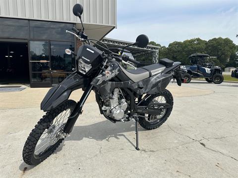 2024 Kawasaki KLX 300 in Greenville, North Carolina - Photo 17