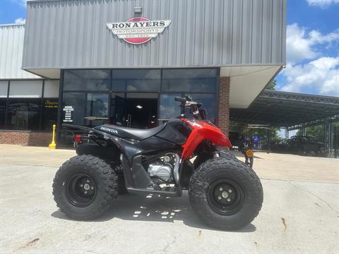 2024 Honda TRX90X in Greenville, North Carolina