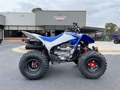 2021 Honda TRX250X in Greenville, North Carolina