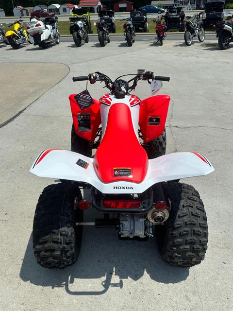 2024 Honda TRX250X in Greenville, North Carolina - Photo 5