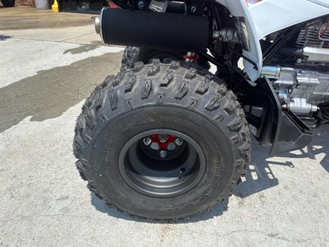 2024 Honda TRX250X in Greenville, North Carolina - Photo 7