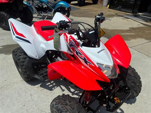 2024 Honda TRX250X in Greenville, North Carolina - Photo 10