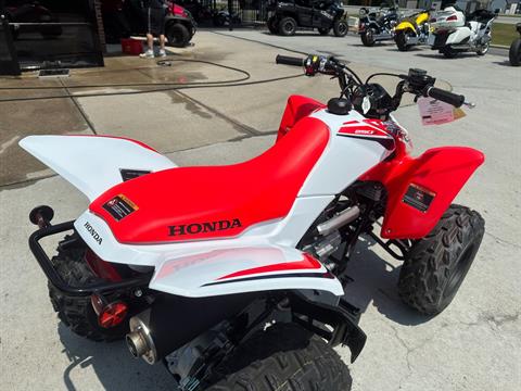 2024 Honda TRX250X in Greenville, North Carolina - Photo 11