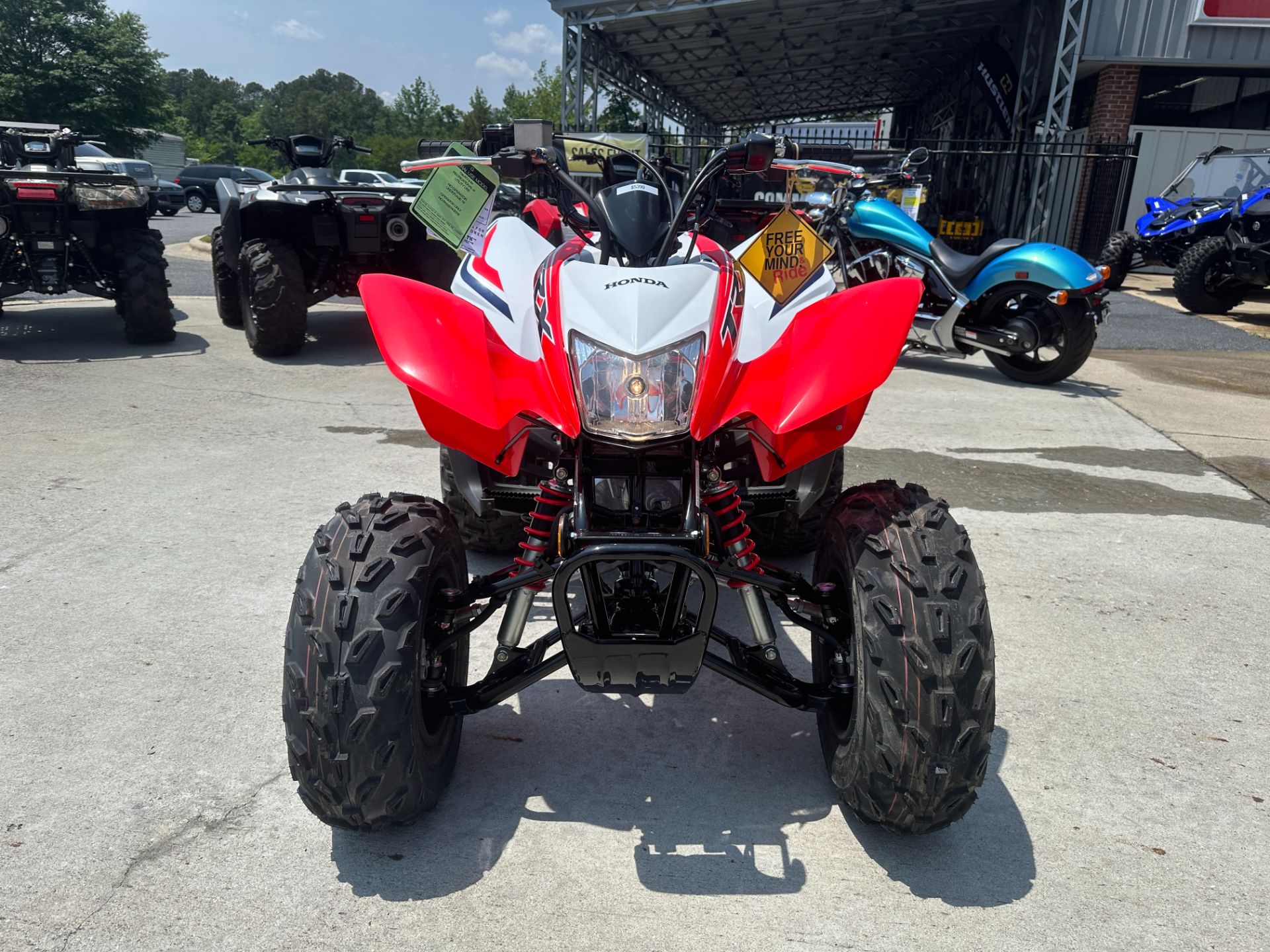 2024 Honda TRX250X in Greenville, North Carolina - Photo 15