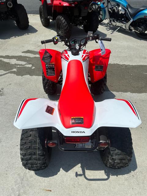 2024 Honda TRX250X in Greenville, North Carolina - Photo 30