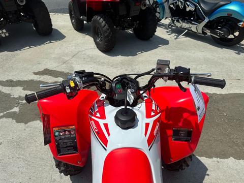 2024 Honda TRX250X in Greenville, North Carolina - Photo 31