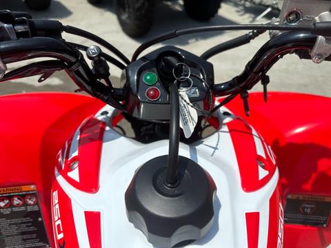 2024 Honda TRX250X in Greenville, North Carolina - Photo 34