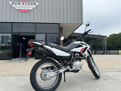 2024 Honda XR150L in Greenville, North Carolina - Photo 3