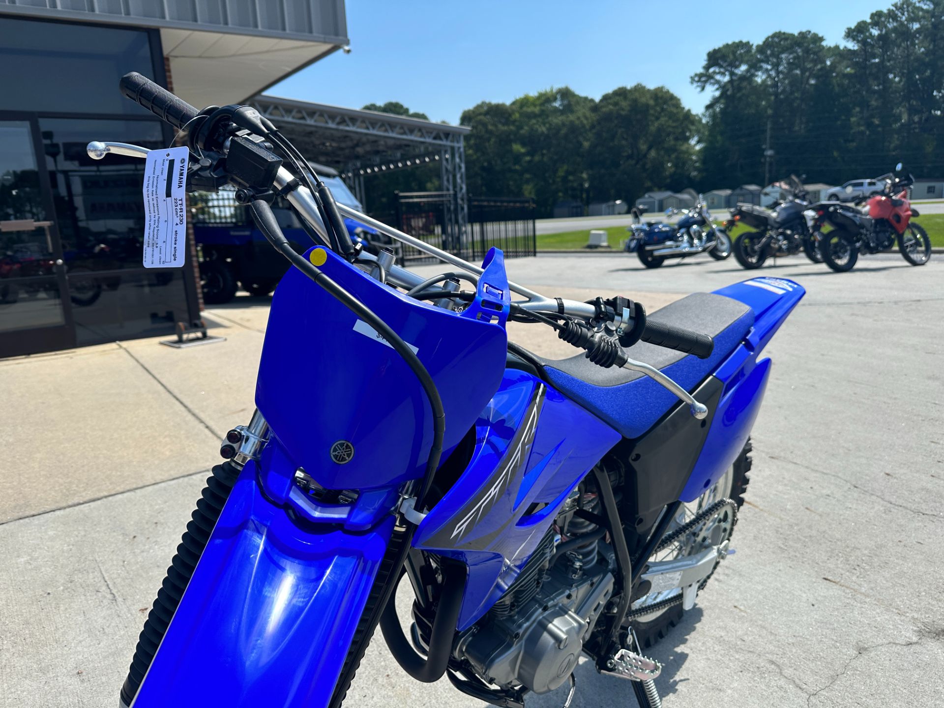 2023 Yamaha TT-R230 in Greenville, North Carolina - Photo 21