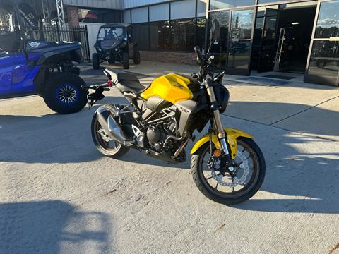 2024 Honda CB300R ABS in Greenville, North Carolina - Photo 2