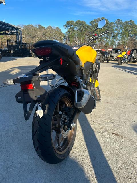 2024 Honda CB300R ABS in Greenville, North Carolina - Photo 13