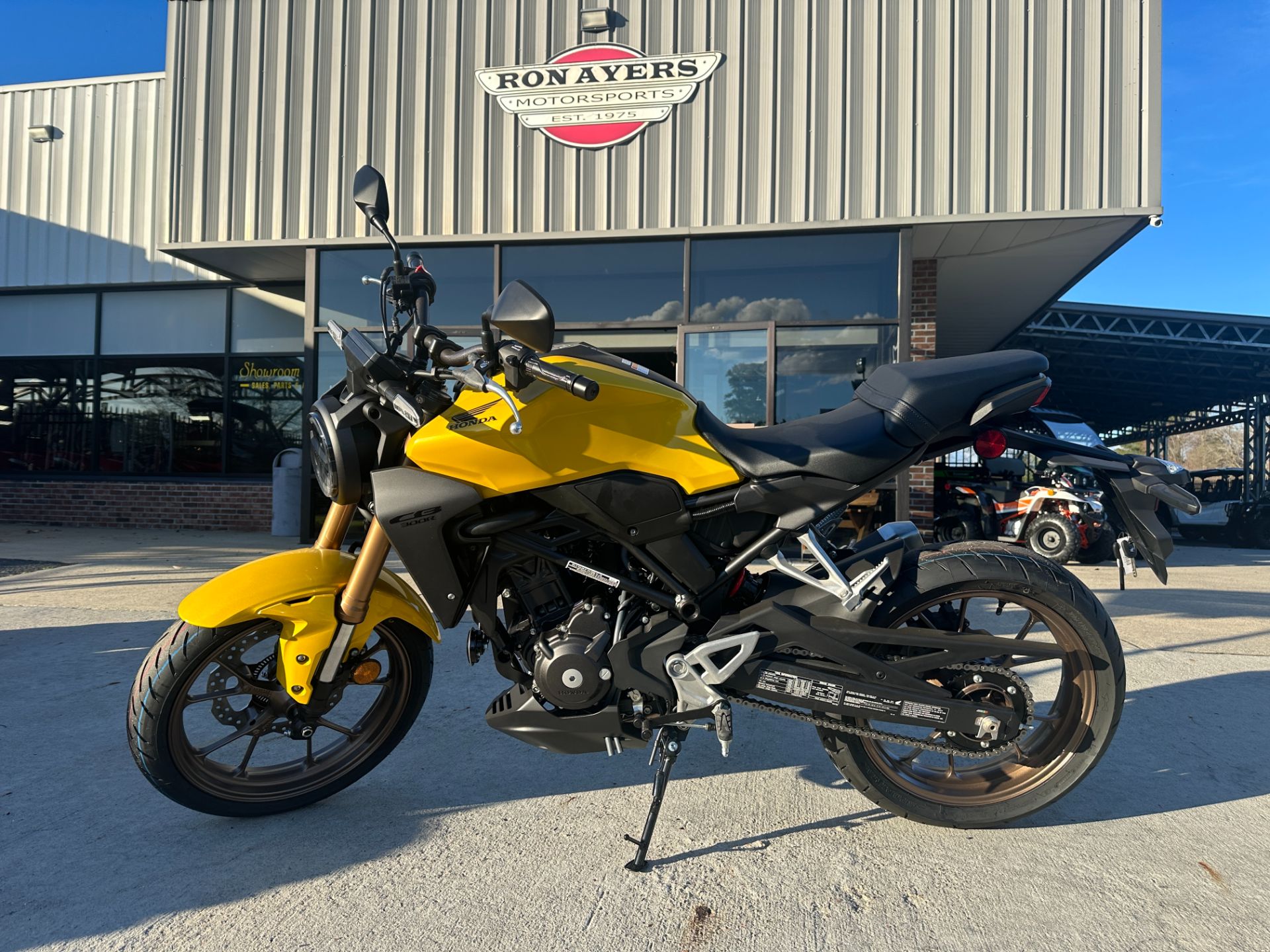 2024 Honda CB300R ABS in Greenville, North Carolina - Photo 14
