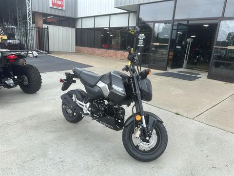 2025 Honda Grom SP in Greenville, North Carolina