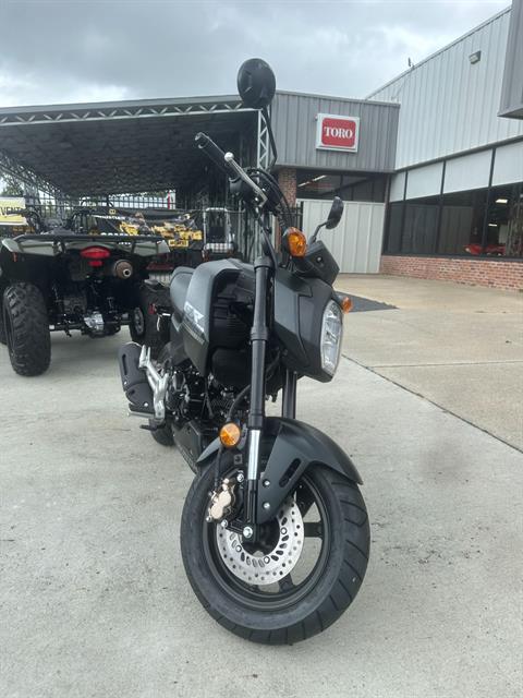 2025 Honda Grom SP in Greenville, North Carolina - Photo 15