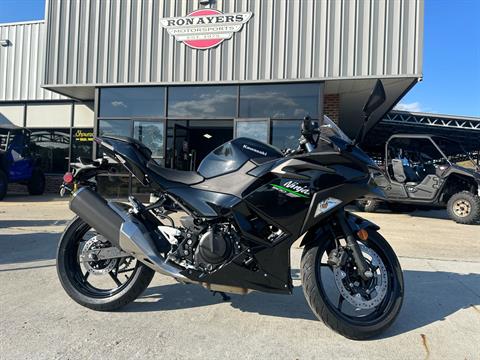 2024 Kawasaki Ninja 500 in Greenville, North Carolina - Photo 1