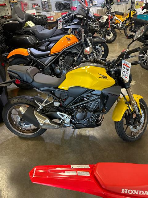 2024 Honda CB300R ABS in Keokuk, Iowa - Photo 1