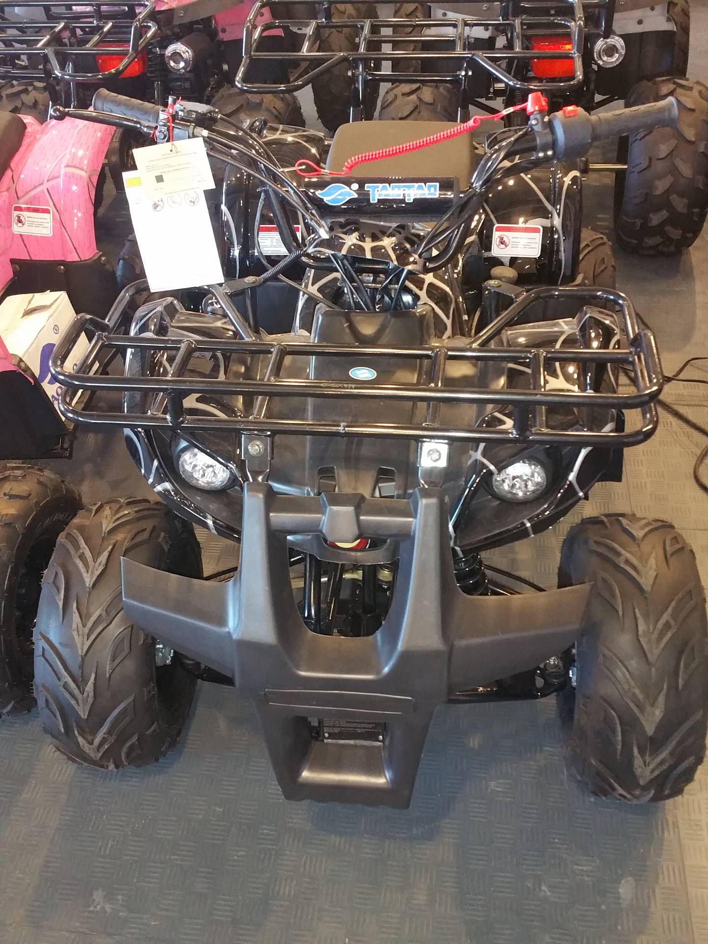 2021 Youth Trooper 125cc Youth ATV in Forest Lake, Minnesota