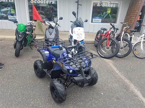 2020 Raytech Trooper 125 ATV in Forest Lake, Minnesota - Photo 6