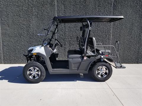2022 Odes Rover 200 Golf Cart in Columbus, Minnesota - Photo 3