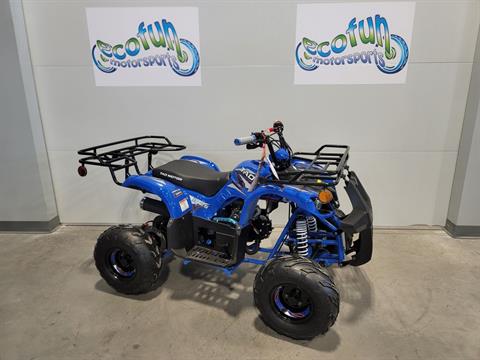 2023 Tao Motor Blue Trooper 125 Youth ATV in Forest Lake, Minnesota - Photo 1