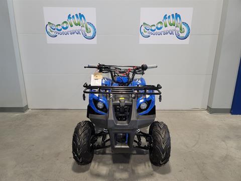 2023 Tao Motor Blue Trooper 125 Youth ATV in Forest Lake, Minnesota - Photo 2