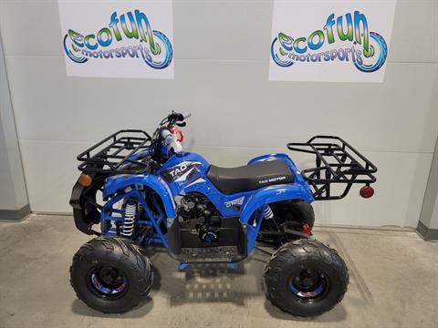 2023 Tao Motor Blue Trooper 125 Youth ATV in Forest Lake, Minnesota - Photo 4