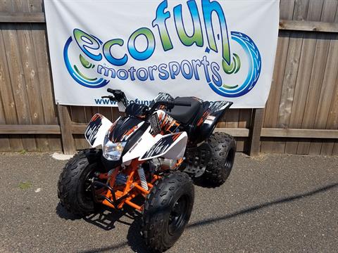 2022 Kayo Storm 150 Youth ATV in Forest Lake, Minnesota - Photo 2