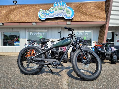 Scootstar Ridestar 750 in Forest Lake, Minnesota - Photo 3