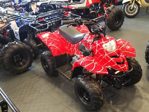 2021 Youth Scout 110cc Youth ATV in Forest Lake, Minnesota