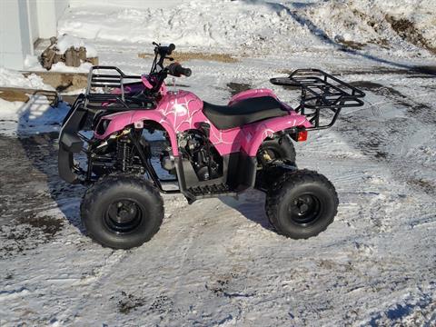 2020 Youth Trooper 125cc ATV in Forest Lake, Minnesota - Photo 8