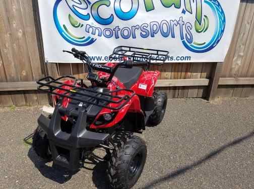 2020 Youth Trooper 125cc ATV in Forest Lake, Minnesota - Photo 1