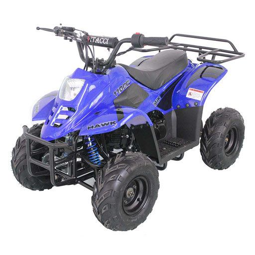 2021 ChangYing Scout 110cc Youth ATV in Columbus, Minnesota