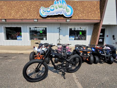 Scootstar Ridestar 750 in Columbus, Minnesota - Photo 11