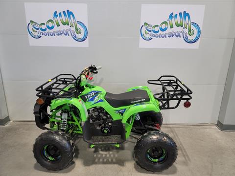 2023 Tao Motor Green Trooper 125 Youth ATV in Forest Lake, Minnesota - Photo 5