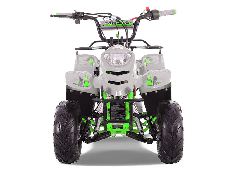 2023 Tao Motor Green Scout 110 Youth ATV in Forest Lake, Minnesota