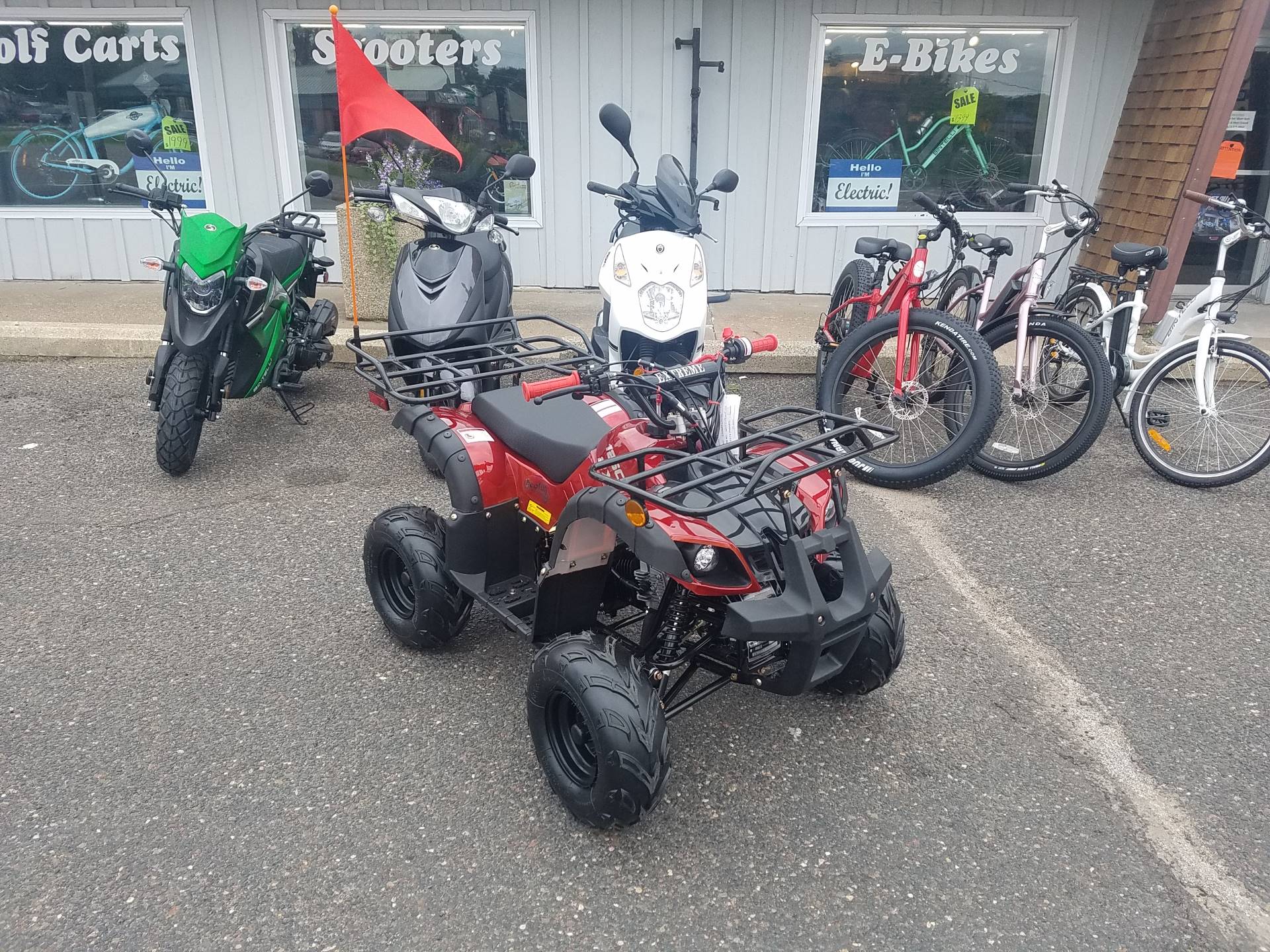 2020 Raytech Trooper 125 ATV in Forest Lake, Minnesota - Photo 1