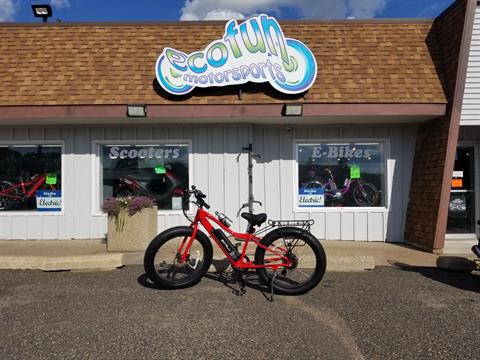 Bintelli M1 Fat Tire Electric Bicycle in Forest Lake, Minnesota - Photo 13