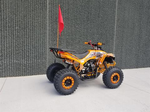 2021 ChangYing Outlander Max 125 Youth ATV in Columbus, Minnesota - Photo 6