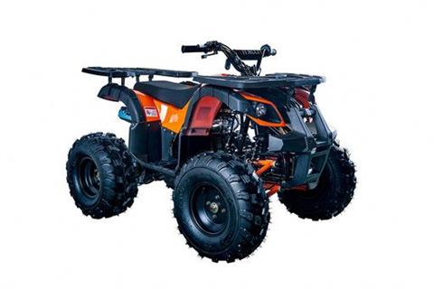 2021 ChangYing Commander 125cc ATV in Forest Lake, Minnesota - Photo 1