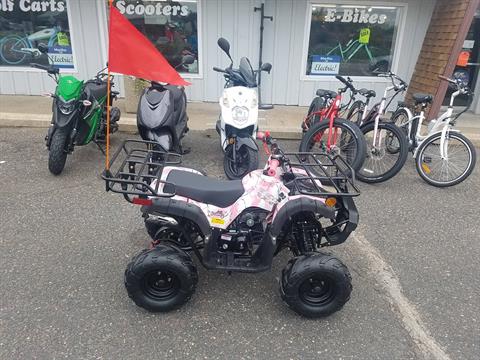 2020 Raytech Trooper 125 ATV in Forest Lake, Minnesota - Photo 4