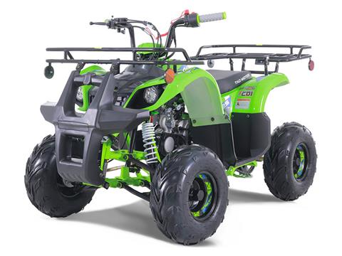 2022 Tao Motor Green Trooper 125 Youth ATV in Columbus, Minnesota - Photo 1