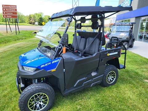2024 Massimo Buck 250X Golf Cart in Forest Lake, Minnesota