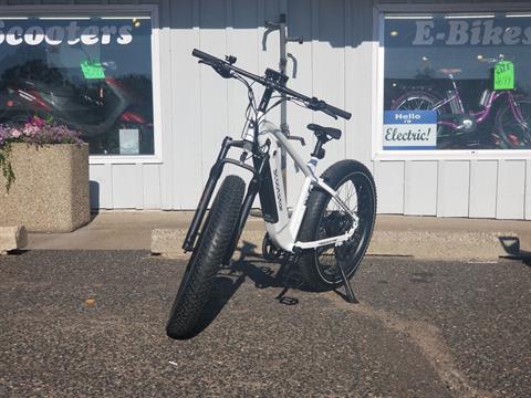 Scootstar Trackstar 750 in Forest Lake, Minnesota - Photo 3