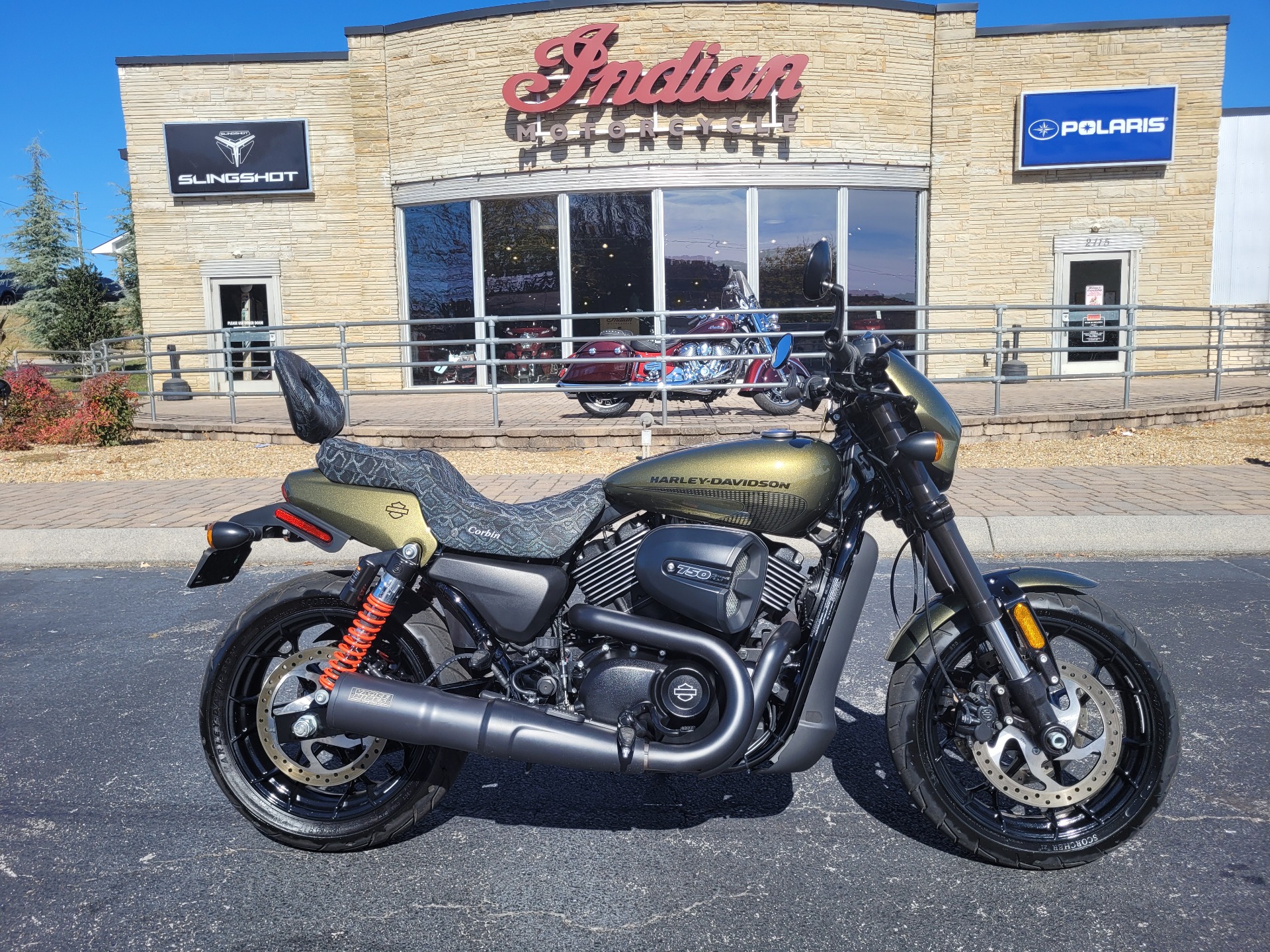 2017 Harley-Davidson Street Rod® in Bristol, Virginia - Photo 1
