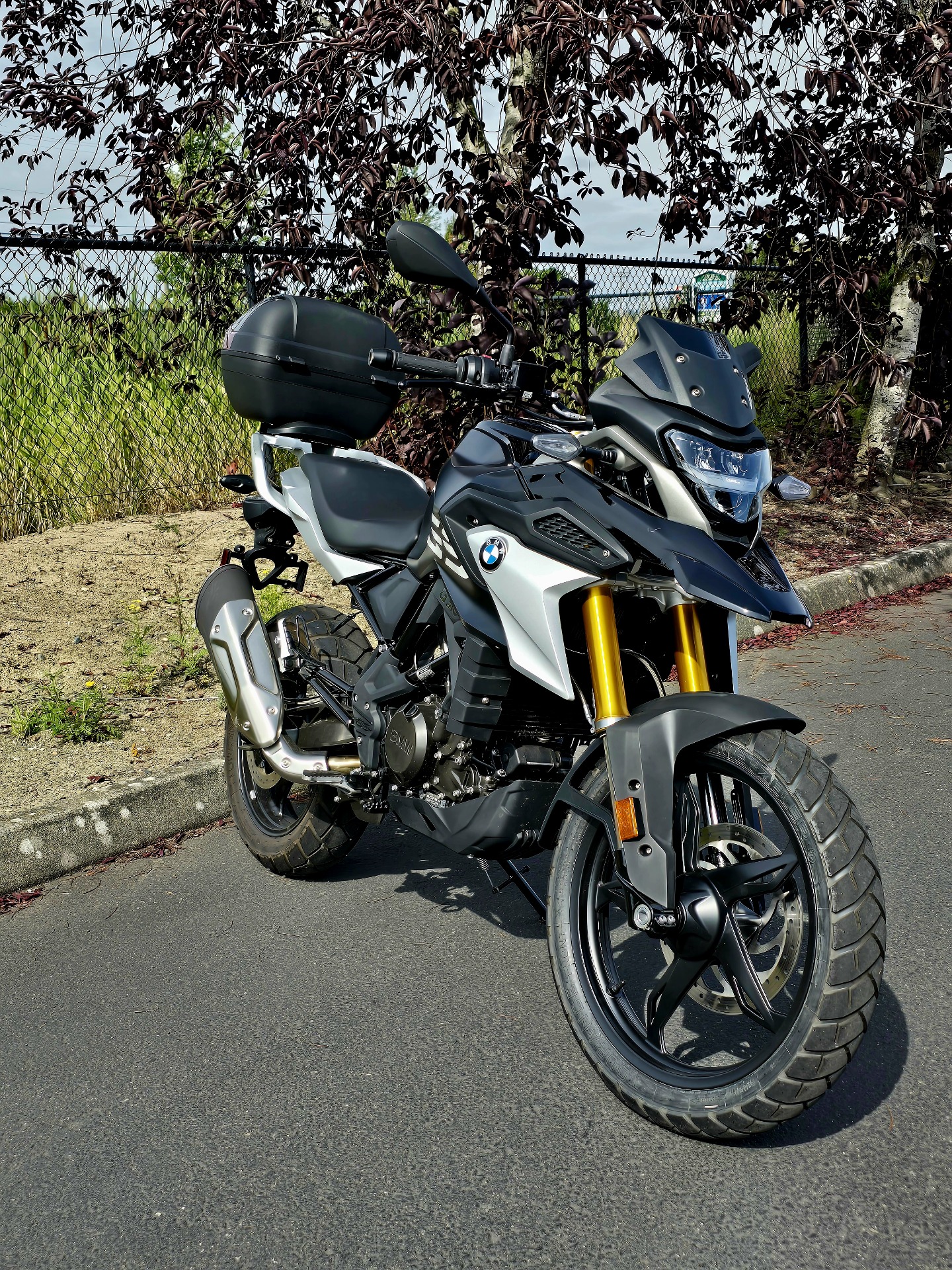 2024 BMW G 310 GS in Ferndale, Washington - Photo 1